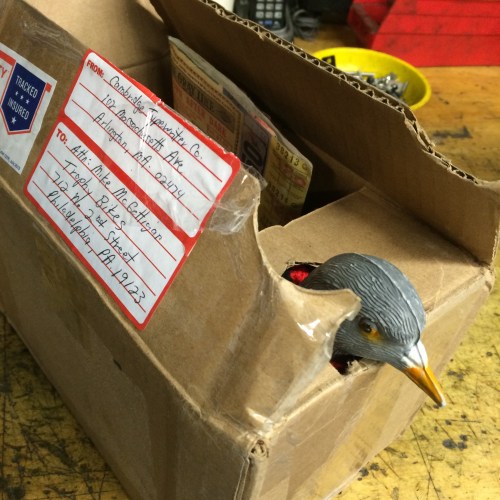 Typewriter Insurgency